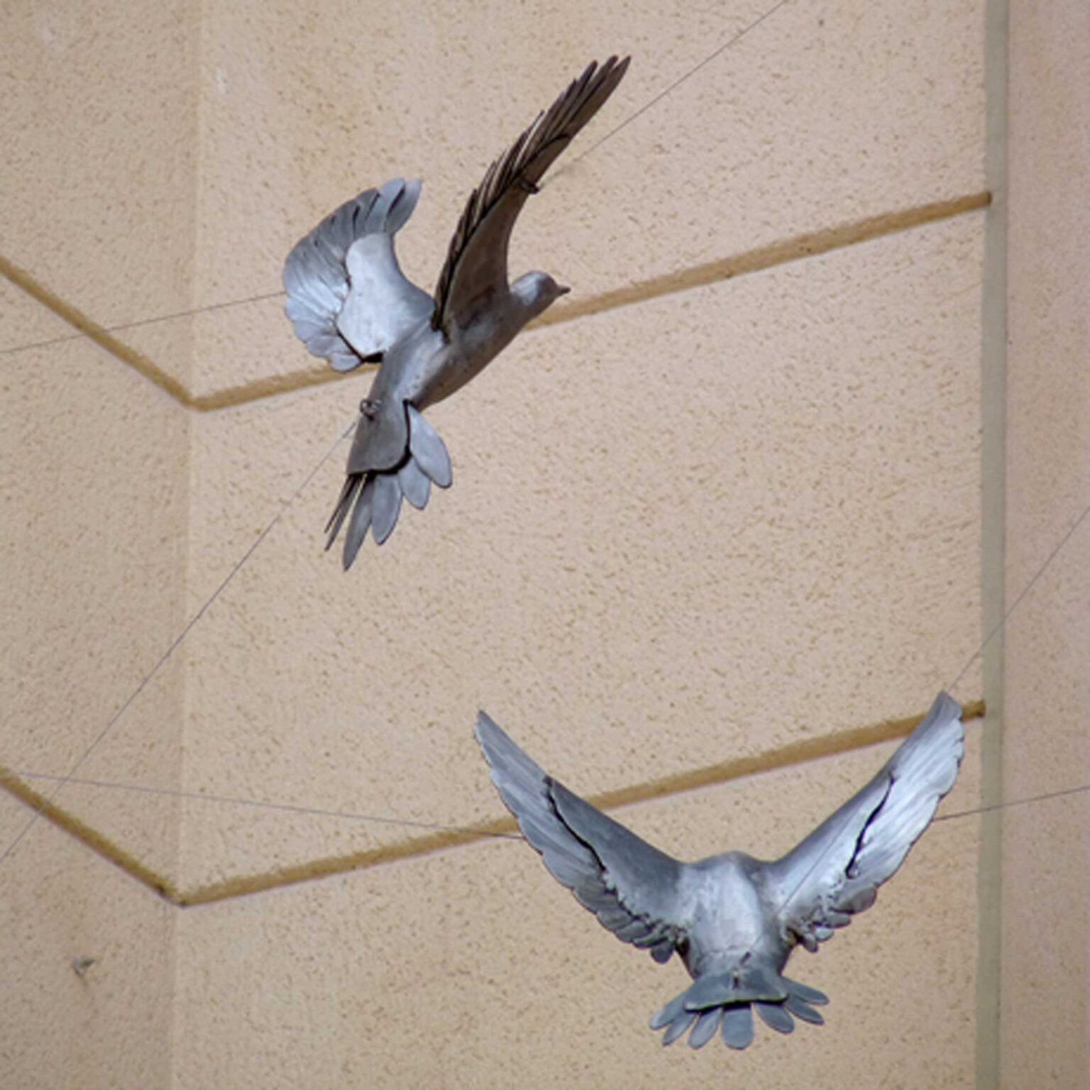 Doves: Stainless steel, Shrewsbury