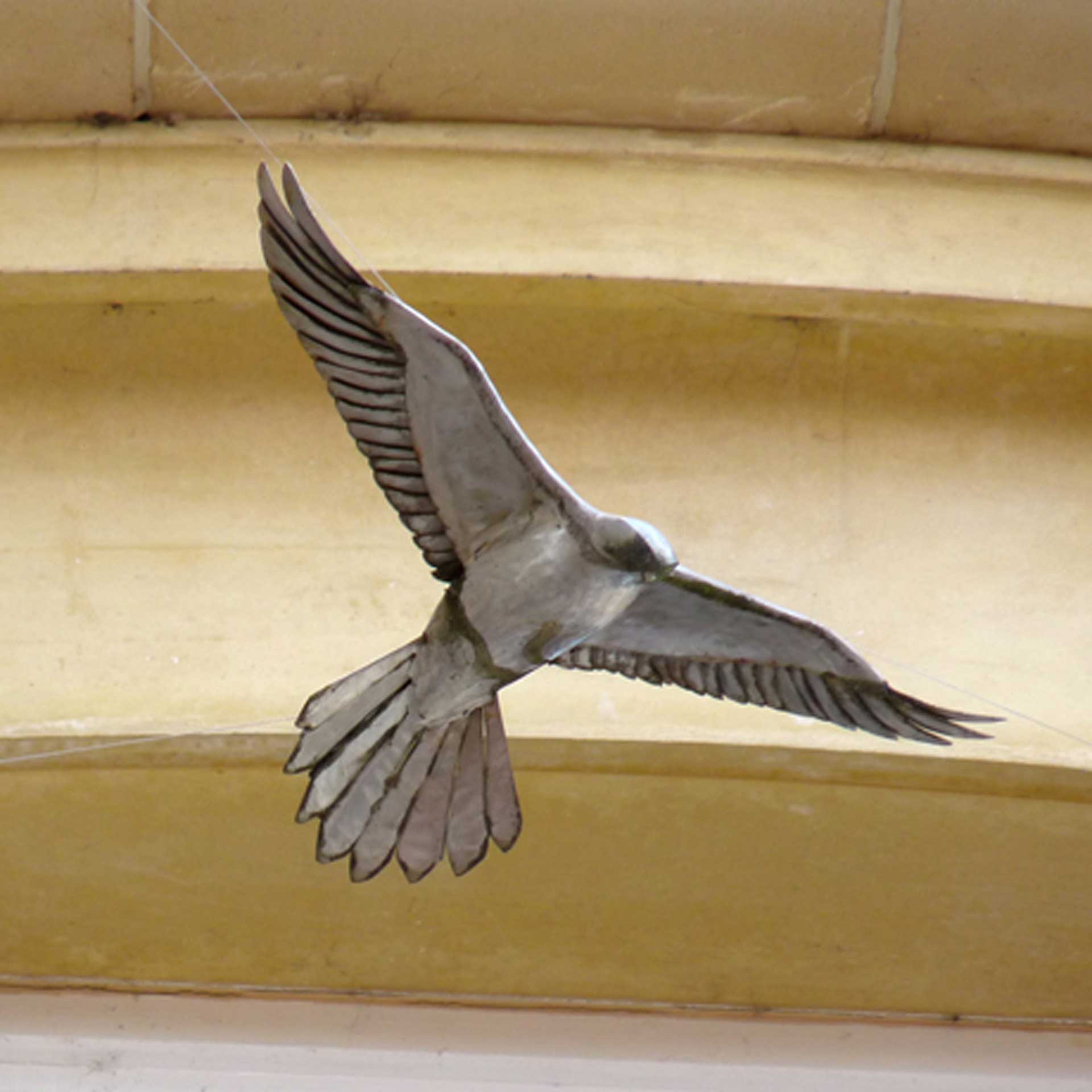 Kestrel: Stainless steel, Shrewsbury