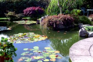 Pont Robert Garden